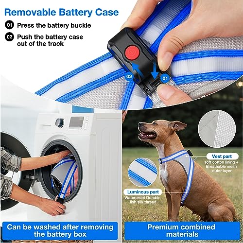 Light Up Dog Harness (Medium / Blue)