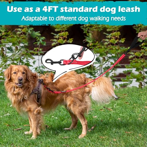 Two Point Control Dog Leash (Red)