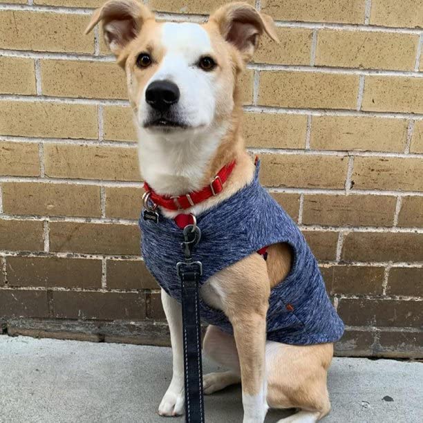 Zip Up Fleece Dog Sweater (2X-Large chest (~25.5") / Gray Wash)