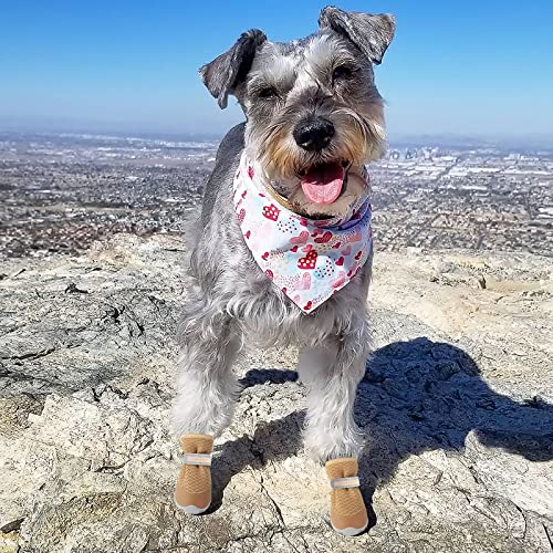 Dog Shoes for Small Dogs Hot Pavement Puppy Dog Boots & Paw Protectors (Khaki / size 3: 1.70"x1.31"(L*W))