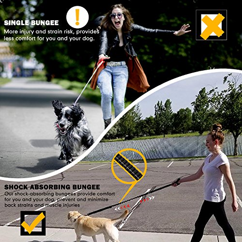 Heavy Duty Bungee Dog Leash with Locking Carabiner for Large Dogs (Black)