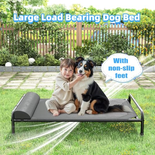 Elevated Dog Bed for Large Dogs (44.5"L x 31"W x 9.25"Th / Black)