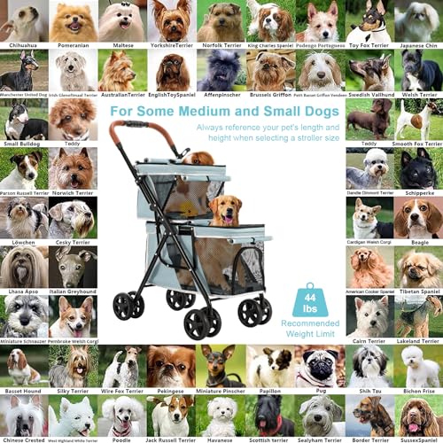 Double Pet Stroller for 2 Dogs & Cats (Light Blue)