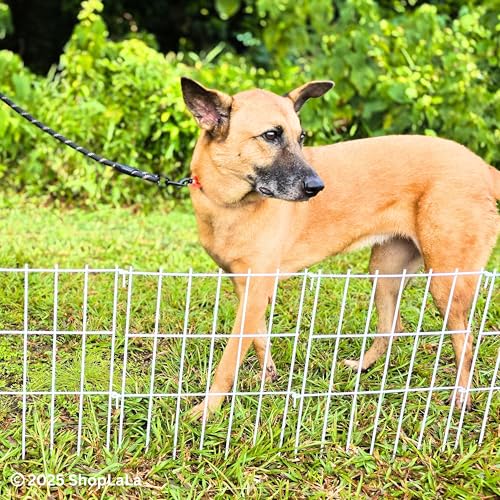 Animal Fence Barrier