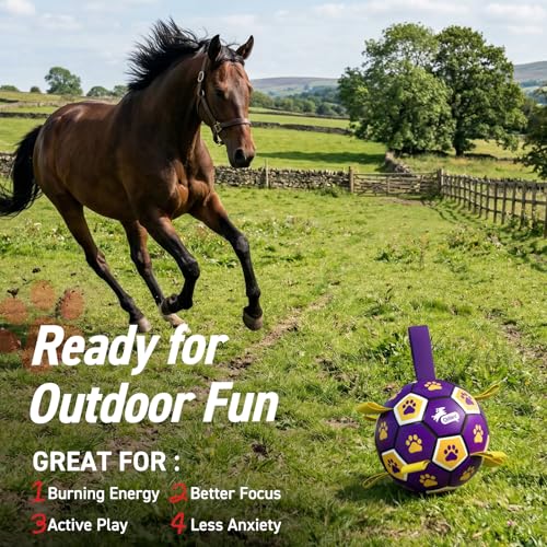 Extra Large Dog Toy Soccer Ball (Purple Yellow / 9 Inch)