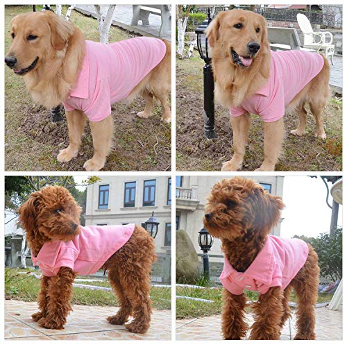 Basic Dog Polo Shirts Premium Cotton (XXXL (-75lbs) / Pink)