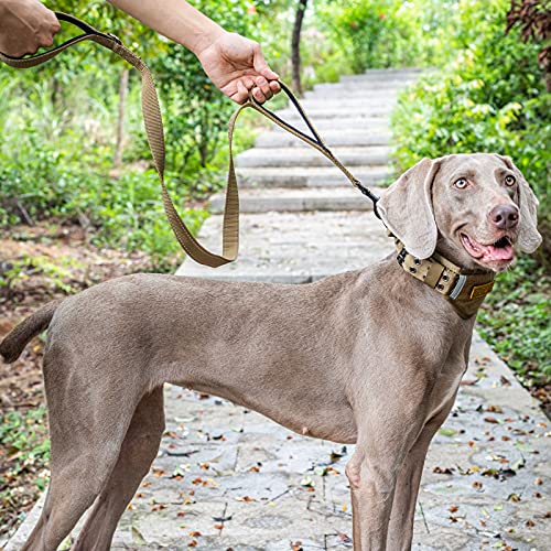 No Pull Dog Leash with Handle for Medium Large Dogs (Brown / 4FT)