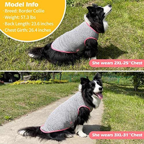 2Pack Dog Shirt for Large Dogs Sun Protection Tank Top for Summer (XXX-Large (55-75lbs) / 6# 2Pack (Grey+Hotpink))