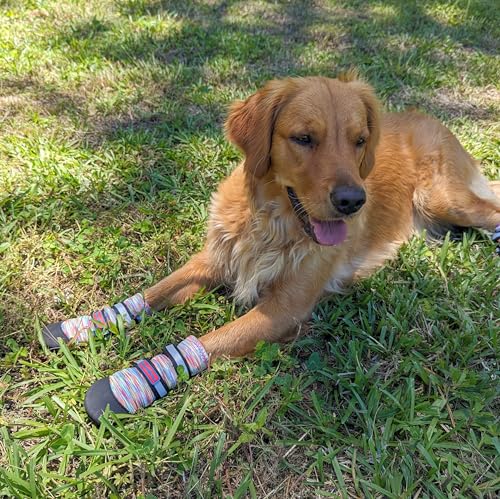 All Weather Neoprene Paw Protector Dog Boots with Reflective Straps in 5 Sizes! (Medium)
