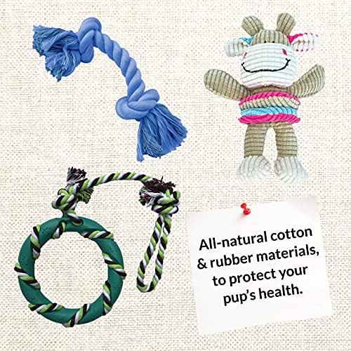 Puppy Chew Toys for Teething