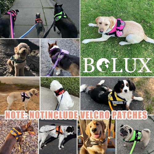 Dog Harness No (Small (Pack of 1) / RosePink)
