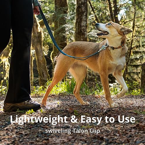 Roamer Bungee Dog Leash (5.5'-7' / River Rock Green)