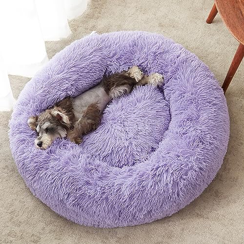 Calming Dog Bed & Cat Bed (Purple / 24.0"L x 24.0"W x 8.0"Th)