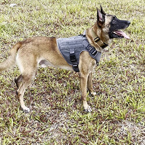 Tactical Dog Harness for X (X-Large (Pack of 1) / Grey)