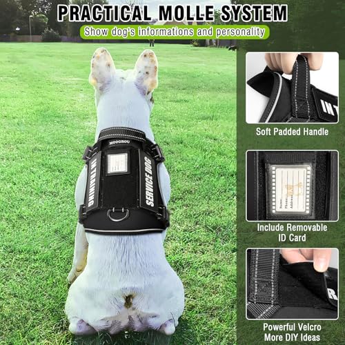 Tactical Dog Harness and Leash Set Medium Sized Dog+10 Dog Patches (Medium / Black)