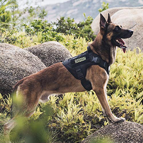 Tactical Dog Harness (Medium / Black)