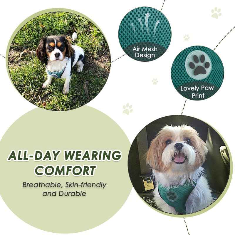 Dog Seat Belt and Harness for Car (Green / XX-Small)