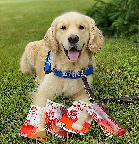 Power Chew Original Bone Dog Chew Toy (Large)