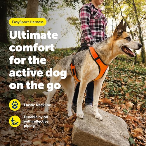 EasySport Dog Harness (Small / Orange)