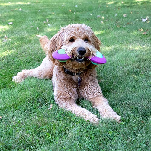 Premium Throw Stick Dog Toy (Throw Stick with 2 Balls)
