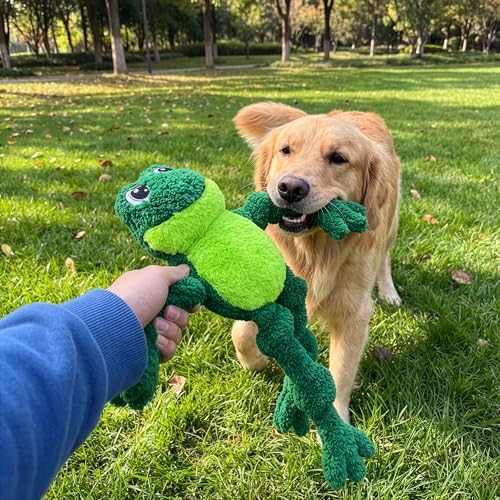 Floppy Knots Rope and Plush Dog Toy (Frog)