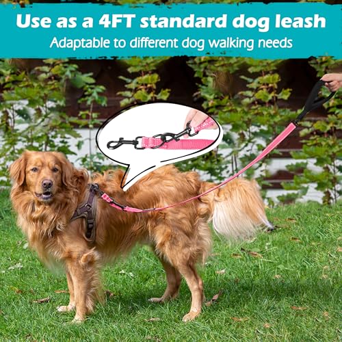 Two Point Control Dog Leash (Pink)