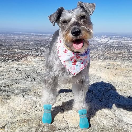 Dog Shoes for Small Dogs Hot Pavement Puppy Dog Boots & Paw Protectors (Blue / size 3: 1.70"x1.31"(L*W))