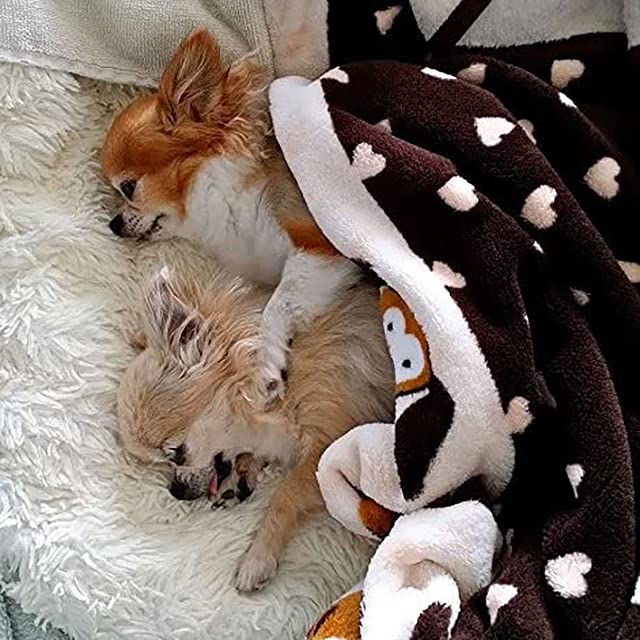 Snuggle Puppy Essentials Starter Kit (Neutral)