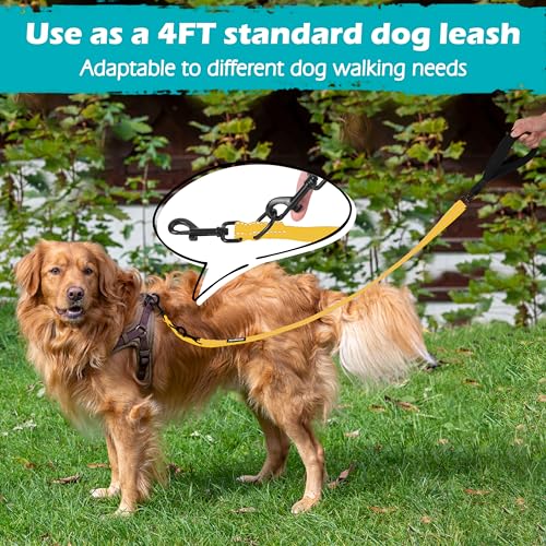 Two Point Control Dog Leash (Yellow)