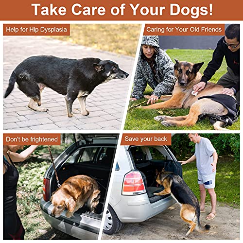 Split Ottoman Dog Ramp (5 Steps)