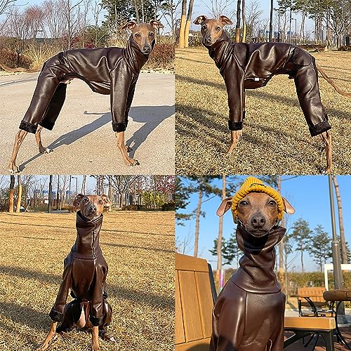 D Doggy Star Italian Greyhound Coat Stretchable Artificial Leather Fleece Lining Clothes Whippet for Dog (M / Leather Brown)
