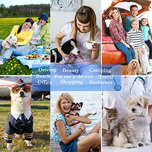 Cat Dog Carrier (29.8"L x 18.0"W x 11.0"H)