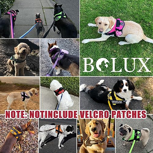 Dog Harness No (Medium (Pack of 1) / FLAG)