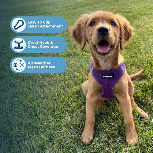 Voyager Step in Air All Weather Mesh Harness and Reflective Dog 5ft Leash Combo with Neoprene Handle (Harness Leash Set (Purple) / XXS (Chest: 12 - 13.5"))