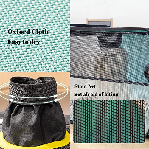 Pet Dog Cat Drying Box (Turq)