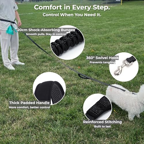 8FT 10FT Hands Free Dog Leash (Black / Large (8–10FT))