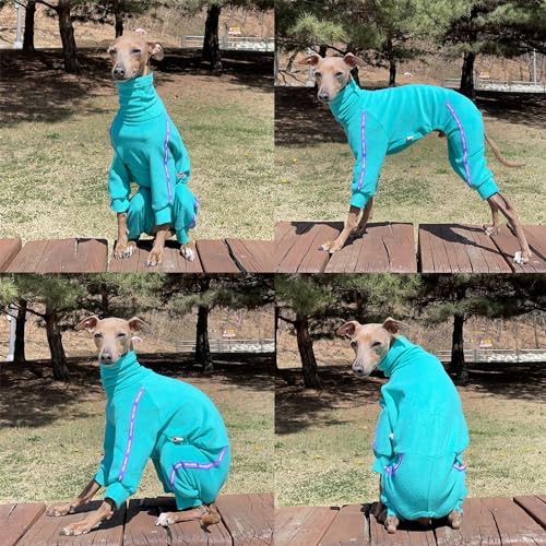 D Doggy Star Italian Greyhound Clothes Stretchy Towel Sports Onesie Outfit Whippet for Dog Coat (2XL / Towel Turquoise)