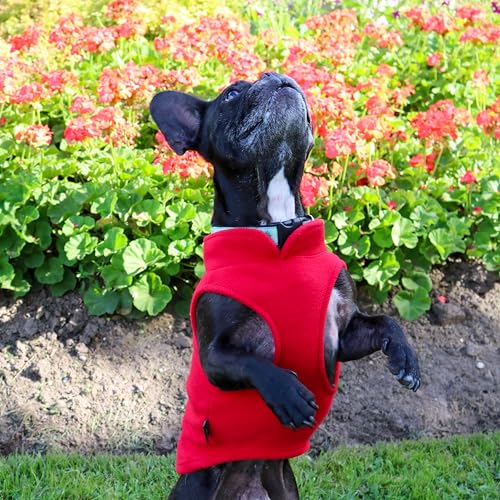 Dog Fleece Vest Sweater with Leash Ring (XL (17-25lbs) / Red)