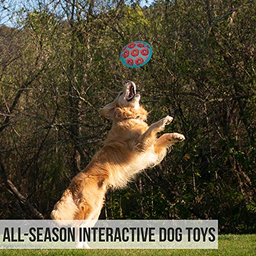 Flippy Flopper Flying Disc Soft Dog Toy (9" Pack of 1)