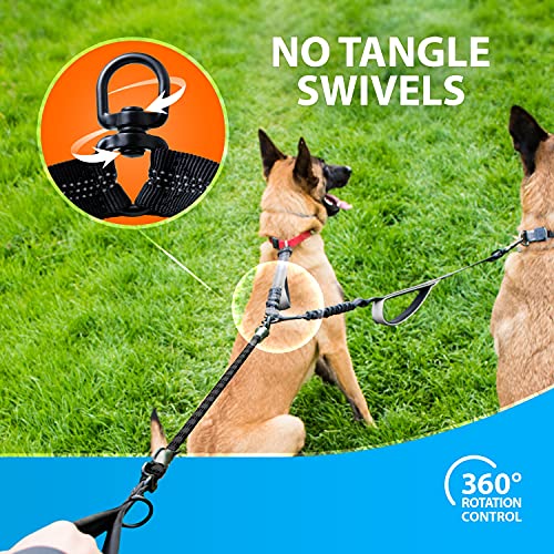 Double Dog Leash for 2 Dogs (Black)