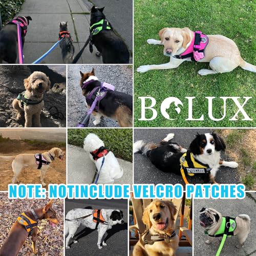 Dog Harness No (X-Large (Pack of 1) / OceanicBlue)