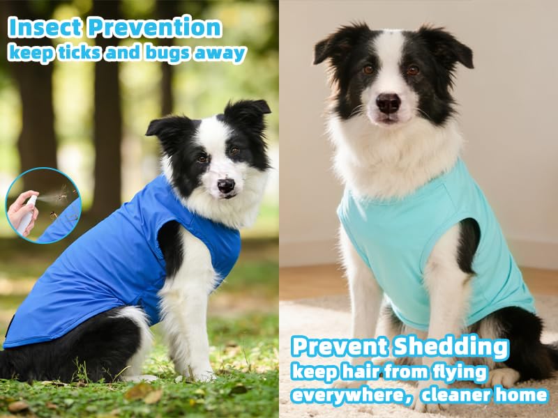 Cooling Sunblock Dog Clothes for Large Dogs (Blue & Light Green / Large(Chest 24", Back 17"))