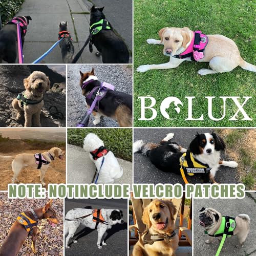 Dog Harness No (Medium (Pack of 1) / TacticalGreen)