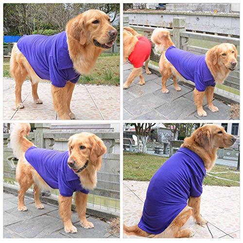 Basic Dog Polo Shirts Premium Cotton (XXL (-55lbs) / Purple)