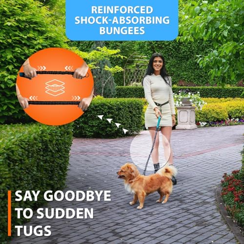 Hands Free Dog Leash (Blue / 1 dog S)