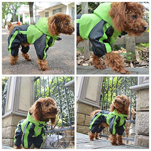 Border Collie Dog Hooded Raincoat (L-M+ (for Border Collie ~60lbs) / Green)