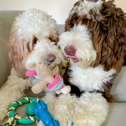 Puppy Chew Toys for Teething