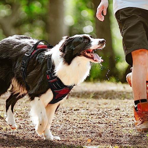 Dog Harness No Pull for Large Dogs with 2 Leash Clips (Large / Red Plaid)