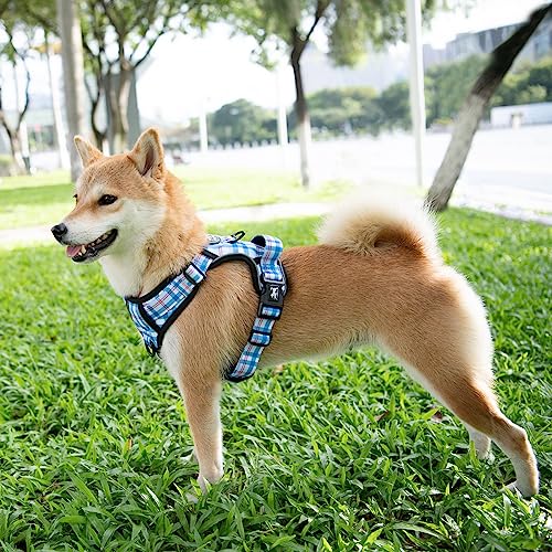 Plaid Dog Harness Large (L / Checkered Blue & Red)