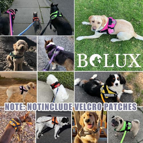 Dog Harness No (Medium (Pack of 1) / TwilightGray)